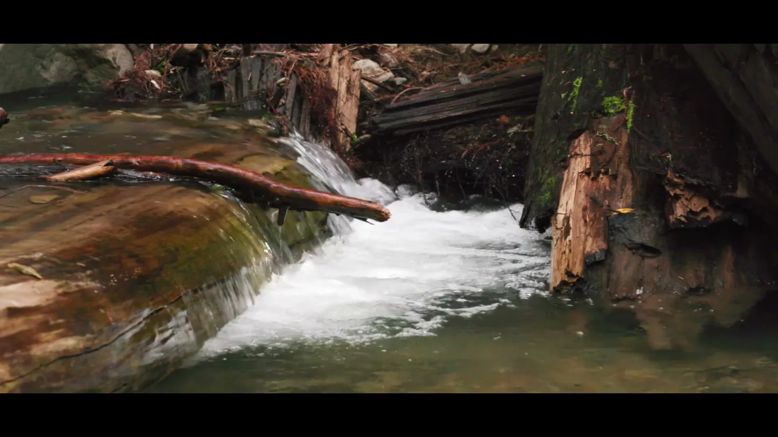 VISIT MARIN COUNTY — frame 2