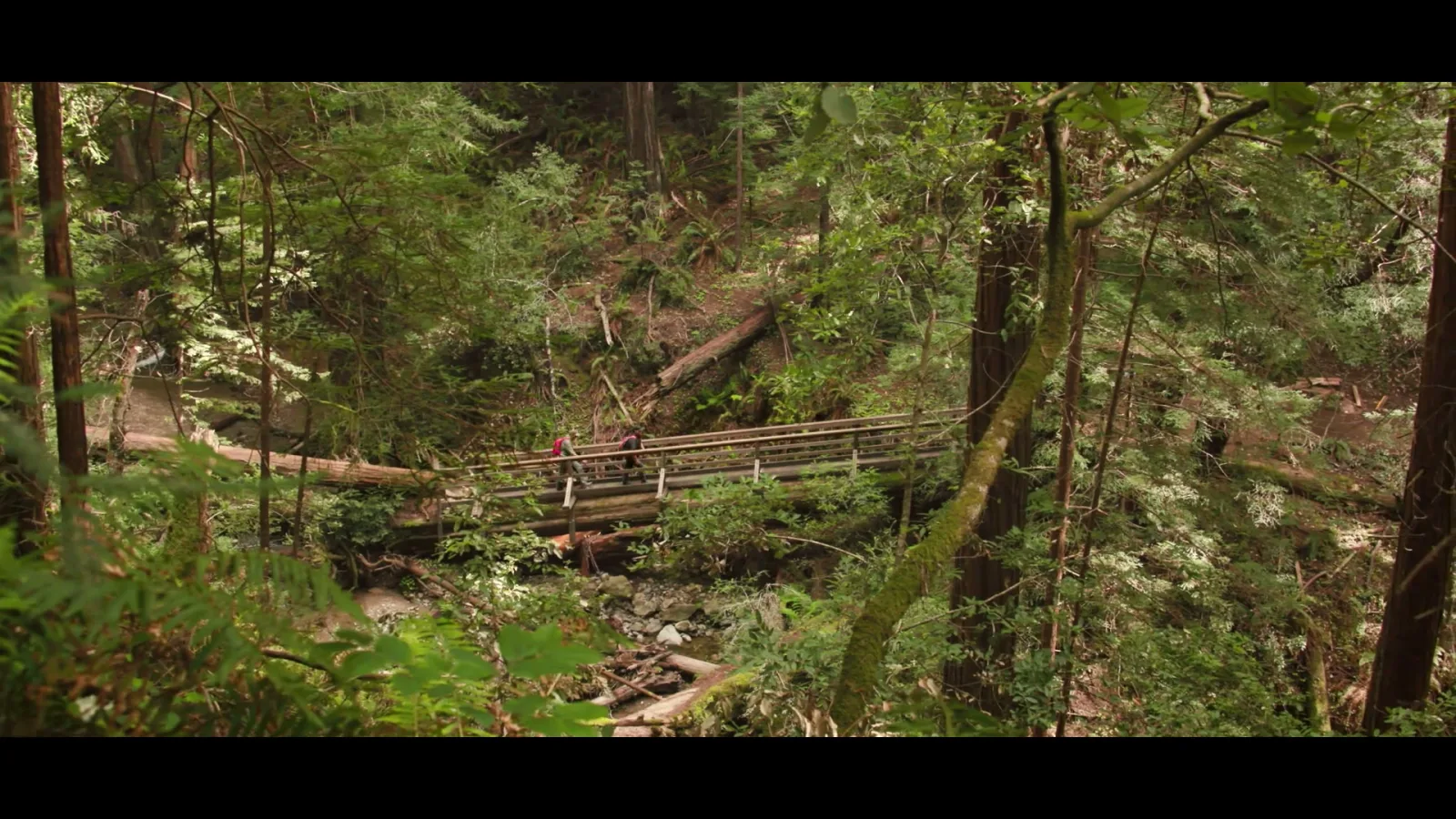 VISIT MARIN COUNTY — frame 4